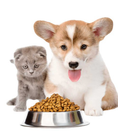 Petfood